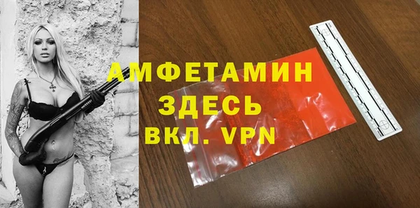 крисы Алексин