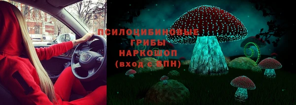 крисы Алексин